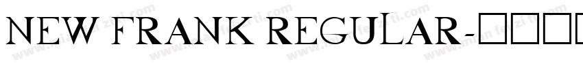 NEW FRANK REGULAR字体转换